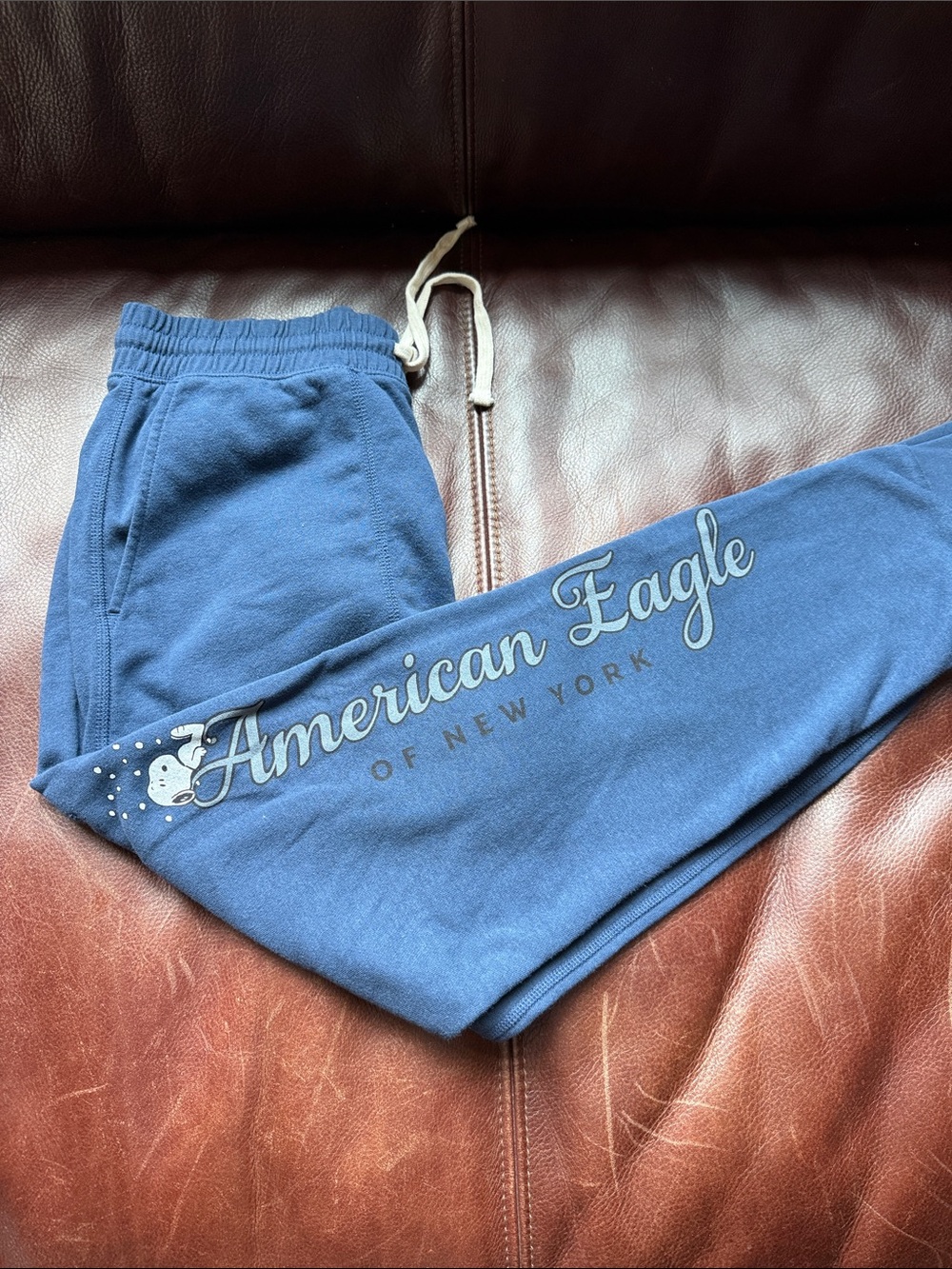 American Eagle Outfitters Blue Track Joggers